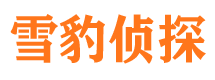 汝阳侦探公司